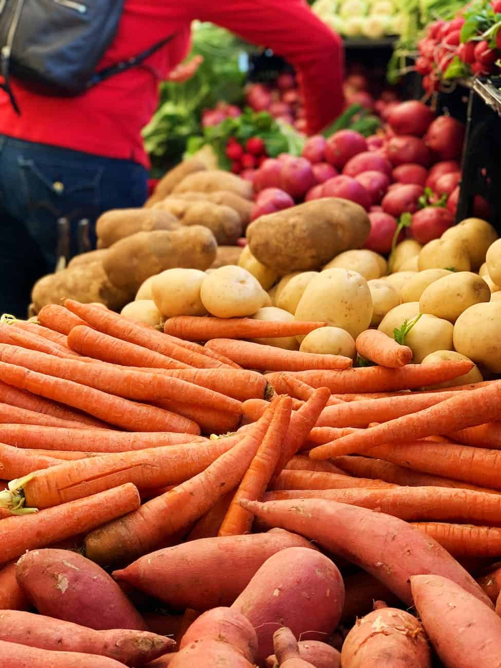 best foods for camping bring root crops vegetables
