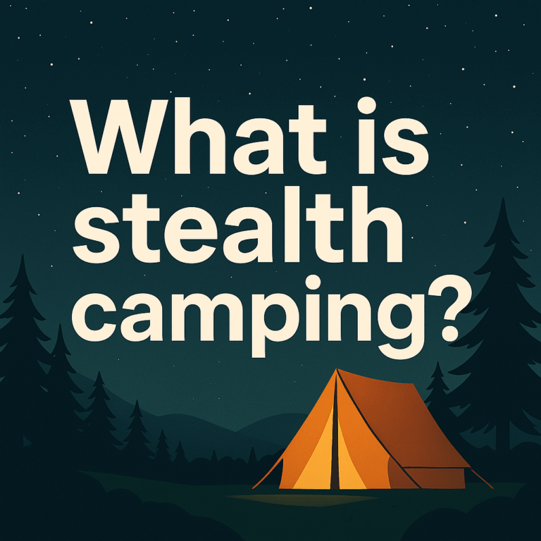 a tent in a forest at night
