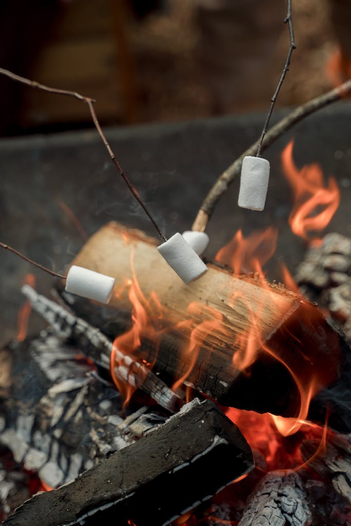 Cooking Marshmallows over Burning Woods in car camping sites