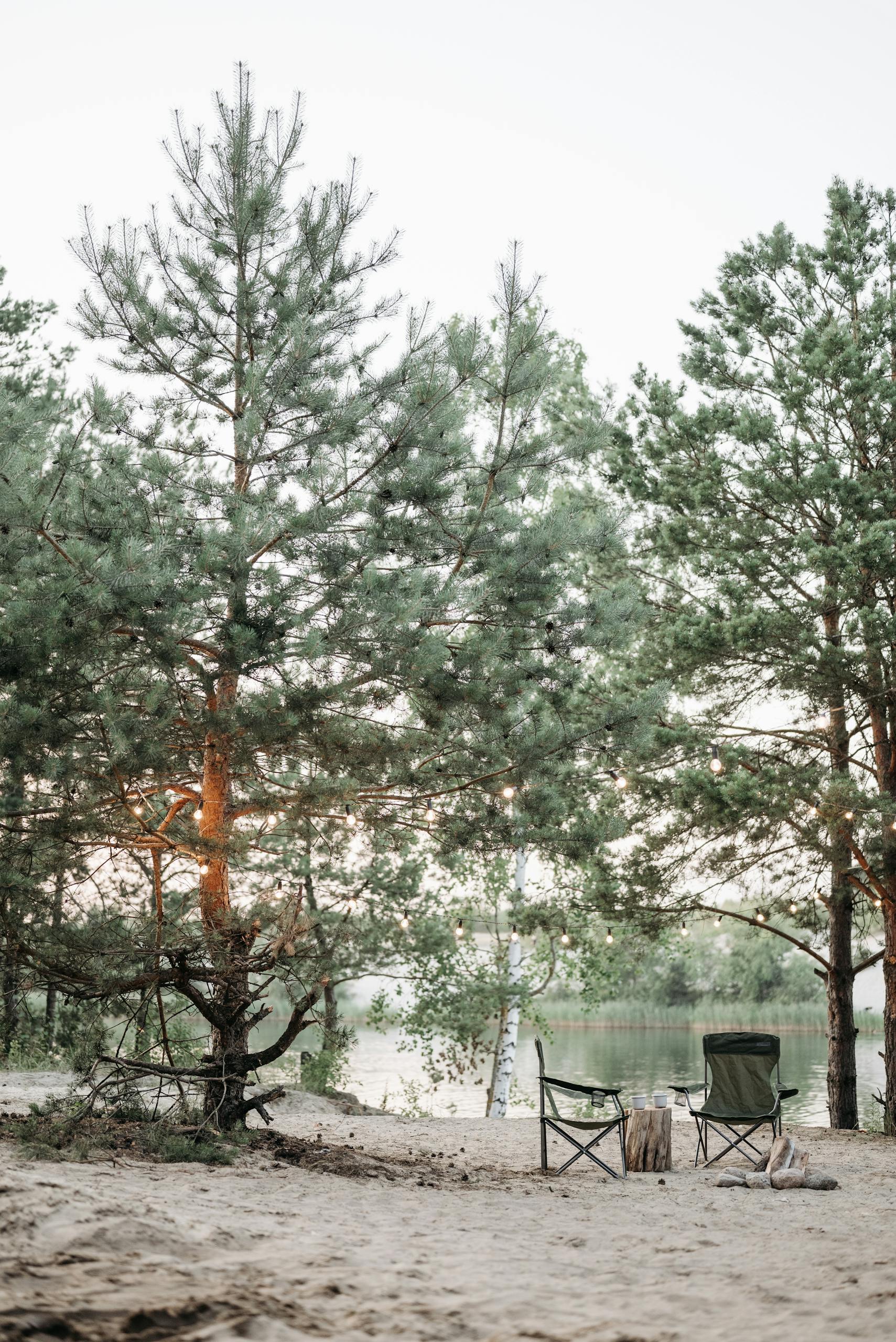 View of a Trees and Camping Chairs